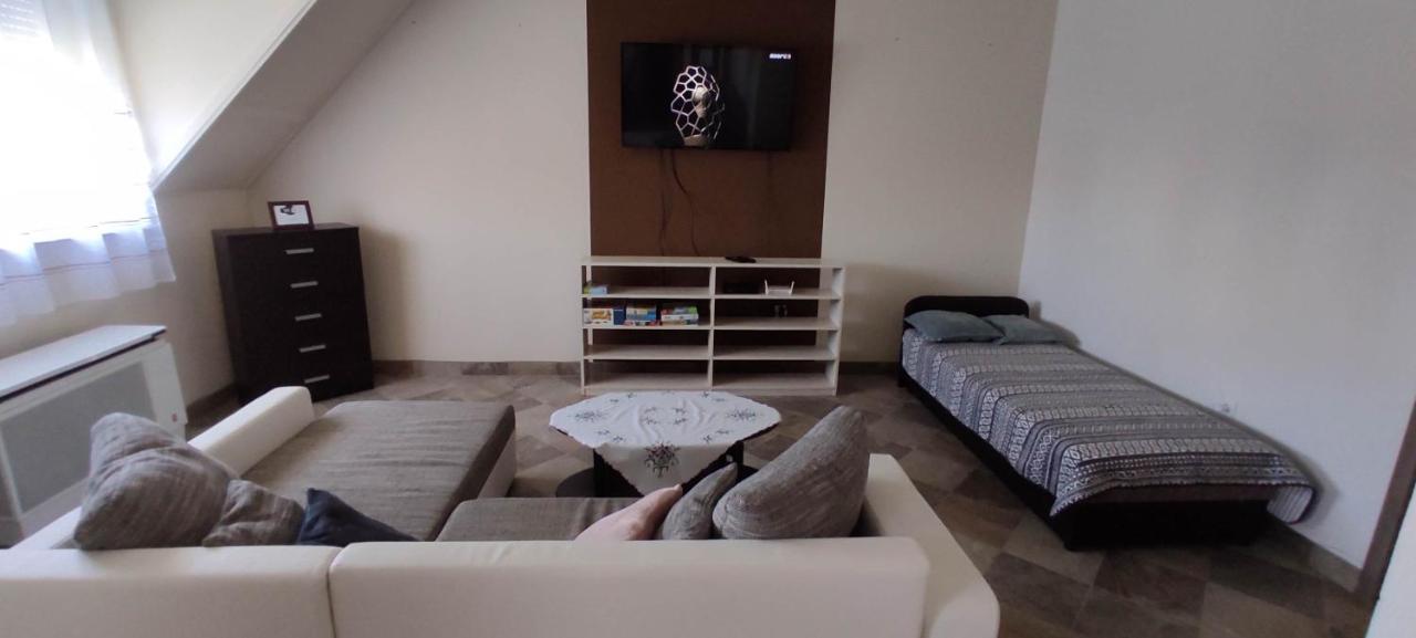 Timar Homestay *